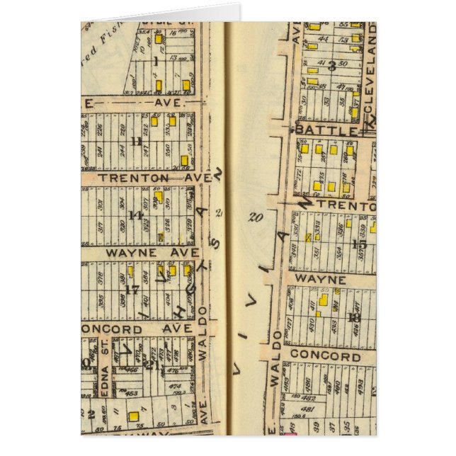 20-21 White Plains (Front)