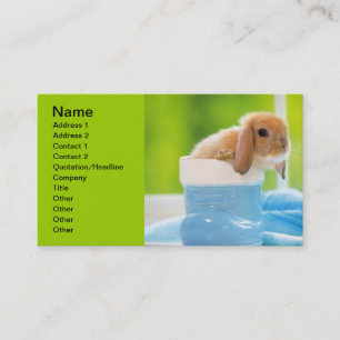 20_baby_animals (4) BABY BUNNY RABBIT blue greens Business Card