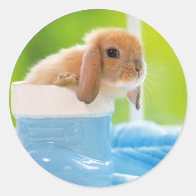 20_baby_animals (4) BABY BUNNY RABBIT blue greens Classic Round Sticker (Front)