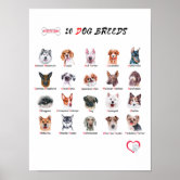 Puzzle 166 dog sales breeds