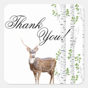 20 Thank You Stickers Deer Doe Buck Woodland Hunti