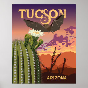 20"x16" Bat and Saguaro Sunset Poster