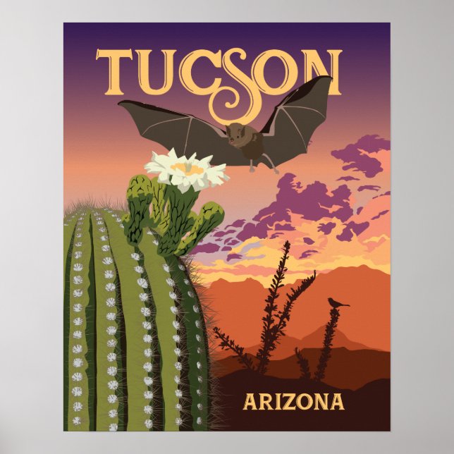 20"x16" Bat and Saguaro Sunset Poster (Front)