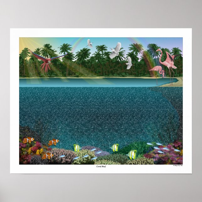 20" x 16" "Coral Reef" 3D Poster by Magic Eye® (Front)