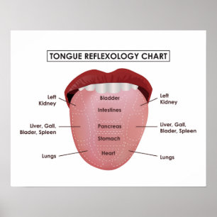 20" x 16", Tongue Reflexology Chart (Matte)