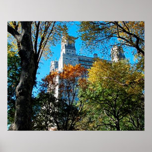 20" x 16", Value Poster Paper (Matte)