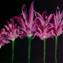 20" x 20" Throw Pillow