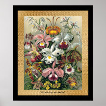 20 x 24 Black and Gold