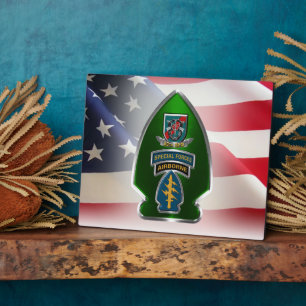 20th    Special Forces Group (AIRBORNE)  Plaque