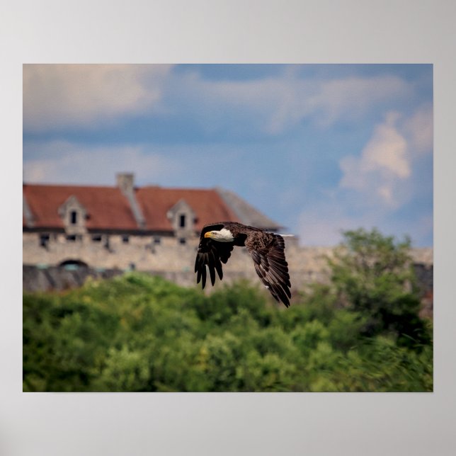 20x16 Bald Eagle passing Fort Ticonderoga Poster (Front)