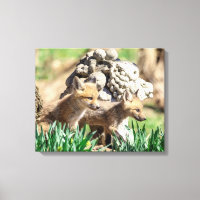 20x16 Fox Kits in the Hudson Valley