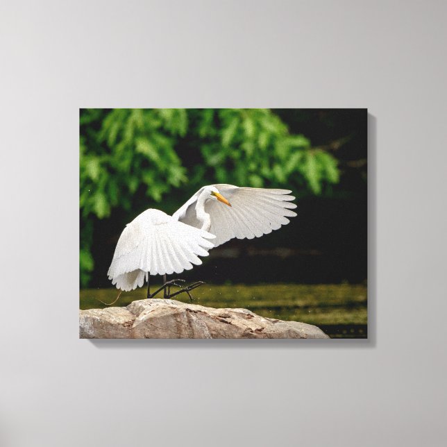 20x16 Great Egret Canvas Print (Front)
