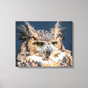 20x16 Great Horned Owl Portrait Canvas Print