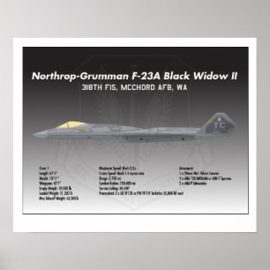20x16 Northrop F-23A Black Widow II Poster