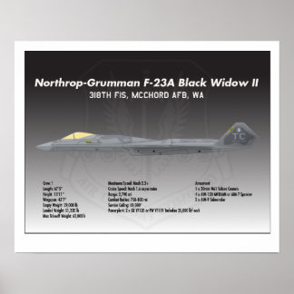 20x16 Northrop F-23A Black Widow II Poster