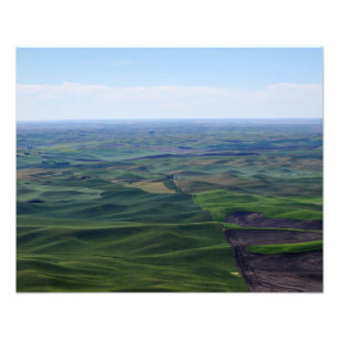 20X16 The Gentle Rolls of Palouse Hills Photo Print