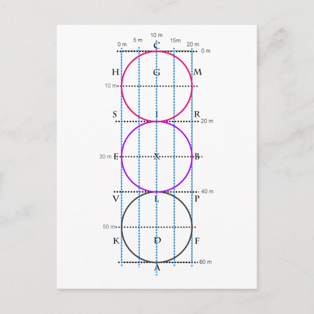 20x60m Dressage Court **Circles** Postcard (Front)