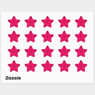 211 STAR STICKER