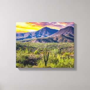 2124-2-Arizona Desert at Sunset Canvas Print