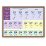 21 amino acids in biology with structure poster<br><div class="desc">21 proteinogenic amino acid with structure,  pka,  short form and types.</div>