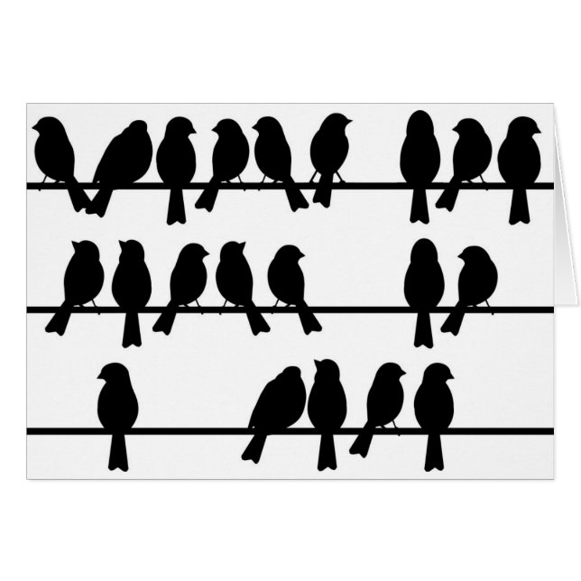 21 Birds On A Wire (Front Horizontal)