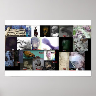 21 species real aliens  poster
