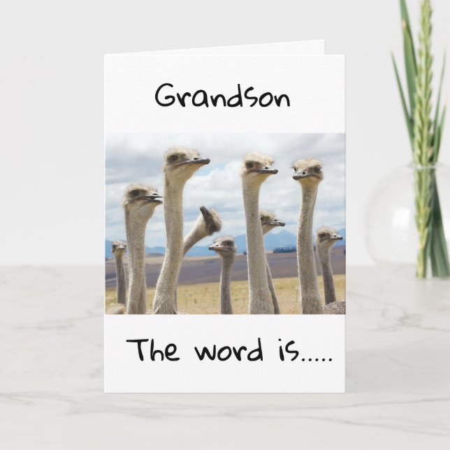 **21** YOU ARE NOW a LEGAL ADULT **GRANDSON** CARD (Front)