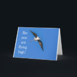 **21st BIRTHDAY BIRD HUMOR** BIRTHDAY Card<br><div class="desc">A BIT OF HUMOR FOR HIM OR HER ON THAT GREAT DAY... TURNING "21"!!!!!  THANKS for stopping by 1 of my 8 stores!!! This is Myrtle Beach by the way!</div>