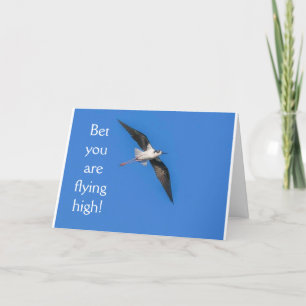 **21st BIRTHDAY BIRD HUMOR** BIRTHDAY Card