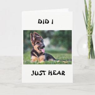 *21st BIRTHDAY* DOG HEARD ALL ABOUT IT Card