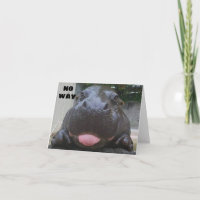 **21st BIRTHDAY** FROM HIPPO COMEDIAN