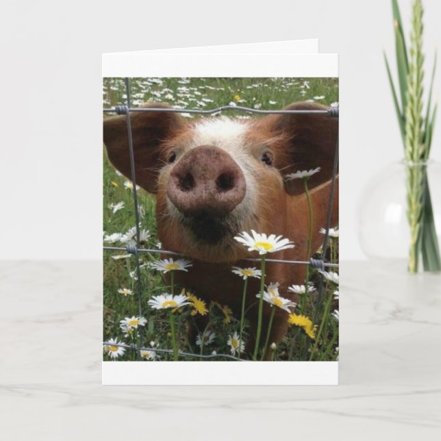 "21st BIRTHDAY" NOT TO BE NOSY-HOW IS IT? Card (Front)