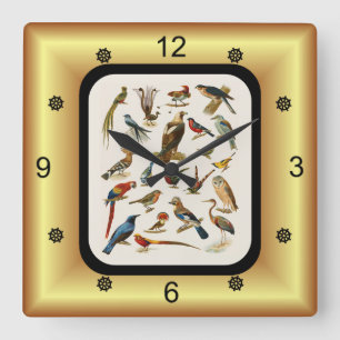 22 Species of Exotic Birds ~ L. Prang & Co. Square Wall Clock
