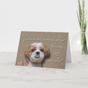22nd Birthday Dog Card