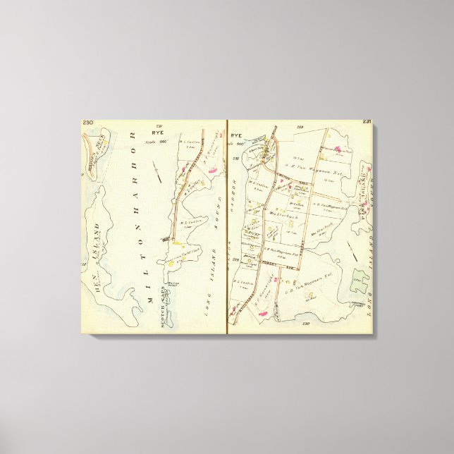 230231 Rye Canvas Print (Front)