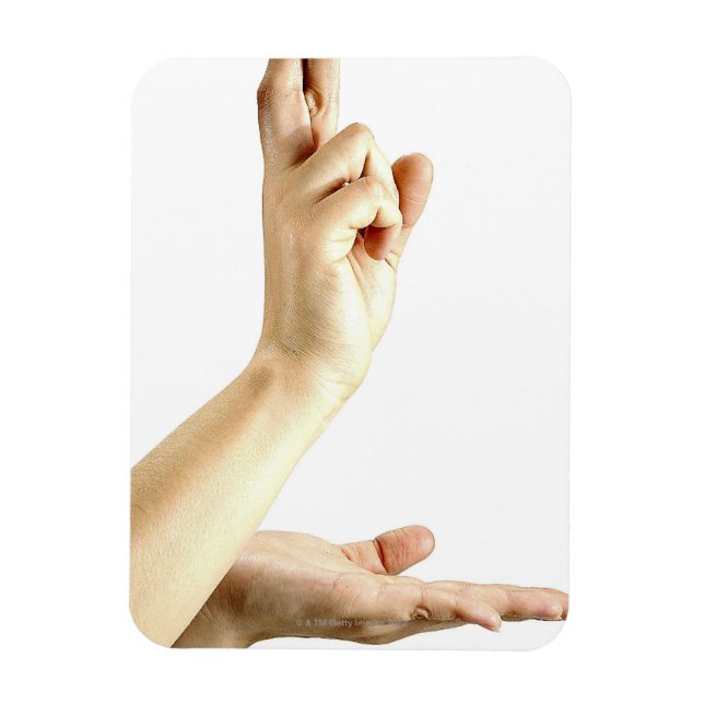 23554092 MAGNET (Vertical)