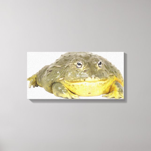 23568116 CANVAS PRINT (Front)