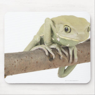 23568119 MOUSE MAT