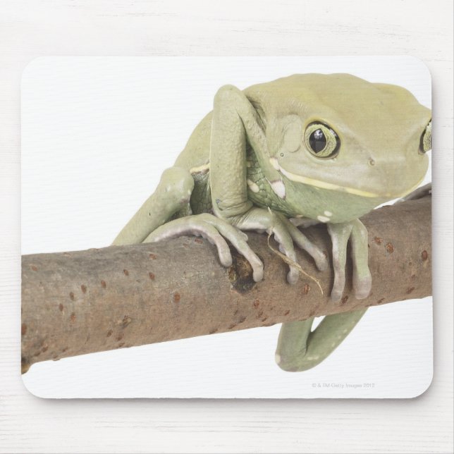 23568119 MOUSE MAT (Front)