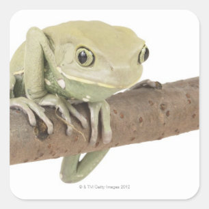 23568119 SQUARE STICKER