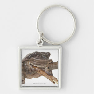 23568138 KEY RING