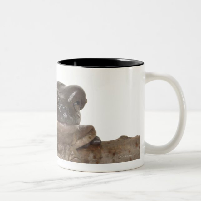 23568138 Two-Tone COFFEE MUG (Right)