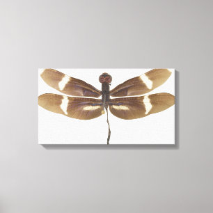 23599152 CANVAS PRINT