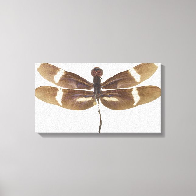 23599152 CANVAS PRINT (Front)