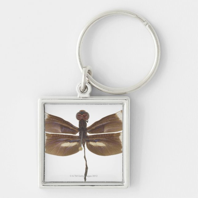 23599152 KEY RING (Front)