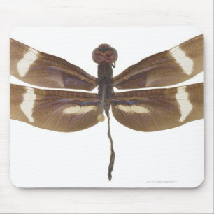 23599152 MOUSE MAT