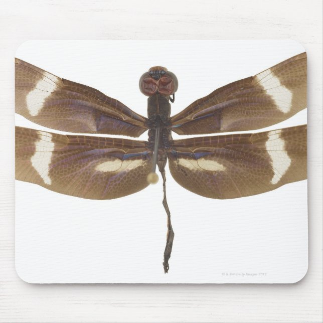 23599152 MOUSE MAT (Front)