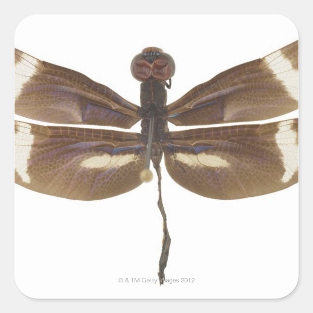 23599152 SQUARE STICKER (Front)