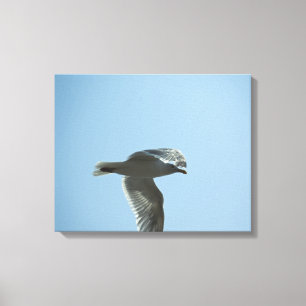 2367 CANVAS PRINT