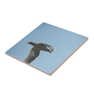 2367 TILE